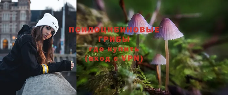 Галлюциногенные грибы Psilocybe  kraken онион  Алушта 